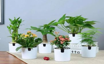 绿化工作工作总结最新8篇