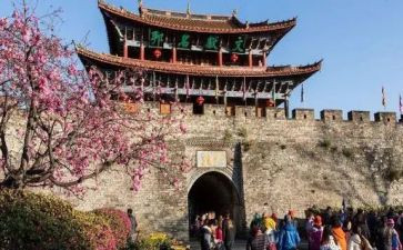 2024年旅游日活动总结7篇