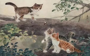 猫教学教案及反思通用7篇