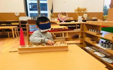 蒙氏数学教案参考5篇
