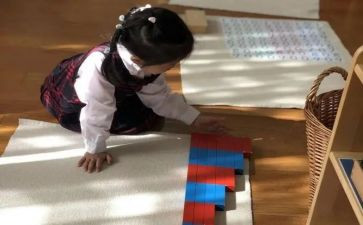 蒙氏数学教案模板6篇