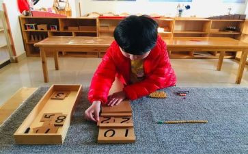蒙氏教师个人总结6篇