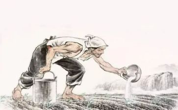 悯农中班教案精选8篇