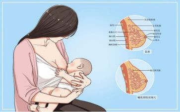 母乳喂养日活动总结8篇