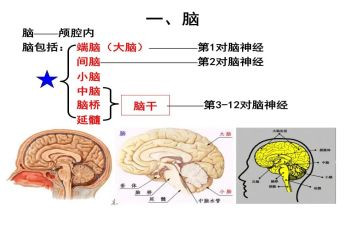 电脑写工作总结推荐8篇