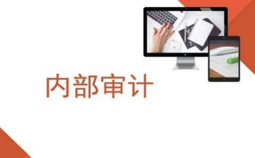 内审岗工作总结8篇