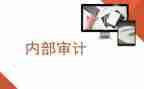 内审岗工作总结8篇