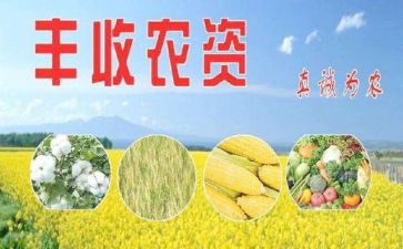 农资店工作计划5篇