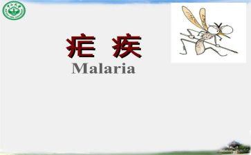 疟疾活动宣传总结8篇