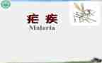 疟疾活动宣传总结8篇