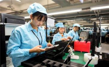 2024年度妇女工作计划7篇