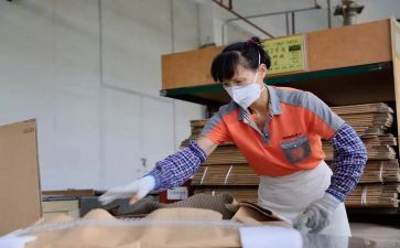 2024年妇女工作总结范文6篇