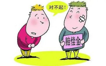 赔偿协议书合同5篇