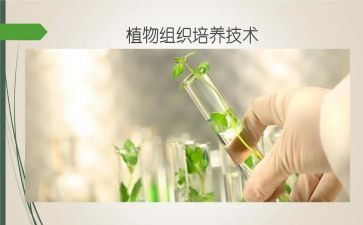 培养室工作总结6篇