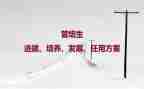 双培养活动总结7篇