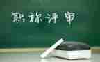 评高级教师的个人总结6篇