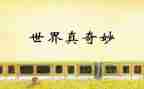 幼儿园奇妙的风教案8篇