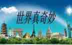 奇妙的根教案模板6篇