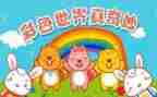 奇妙的磁铁教案6篇