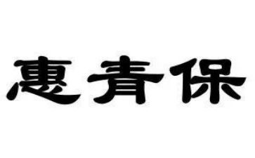 村委会青保工作总结模板5篇