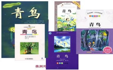 青鸟计划心得7篇
