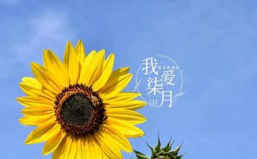 红七月演讲稿5篇