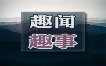 暑假趣事作文8篇
