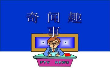 新年趣事的作文最新6篇