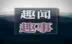 暑假趣事作文8篇