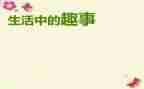 暑假趣事作文参考5篇