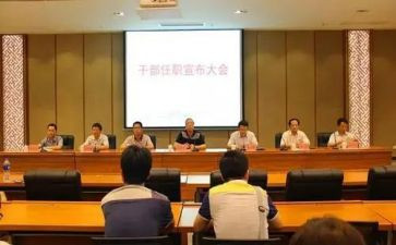任职满工作总结6篇