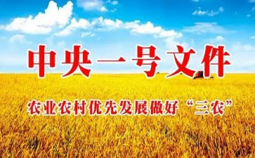 三农工作的心得体会范文6篇