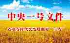 三农工作的心得体会范文6篇