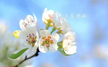 三月工作计划6篇