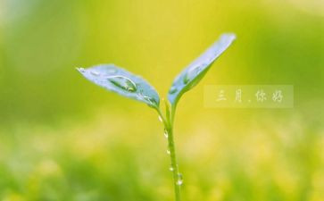 三月幼儿教师工作总结8篇