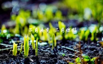 三月雷锋日心得体会8篇