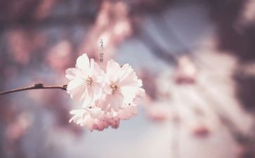 幼儿大班三月份工作总结6篇