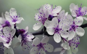幼儿园中班三月份工作总结5篇