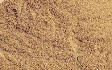 沙盘模拟心得体会范文8篇