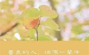 慈善日活动总结7篇