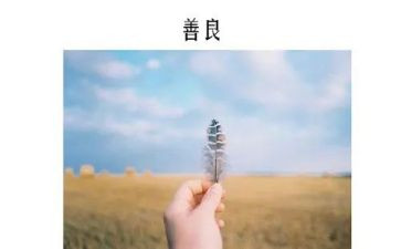 向上向善事迹材料6篇