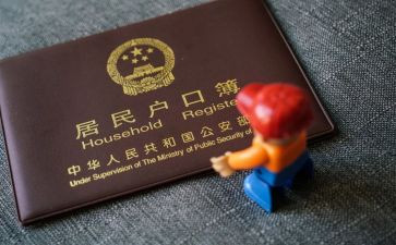上户口申请书模板通用6篇