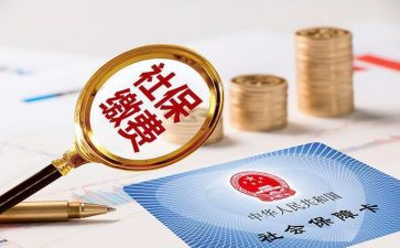 2024年企业社保工作总结6篇