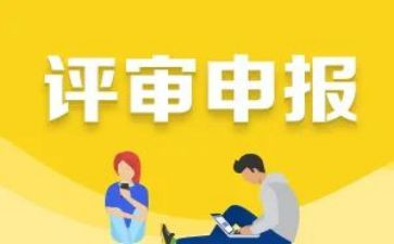 职称申报教师总结6篇