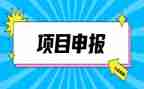 教师申报小学高级教师总结7篇