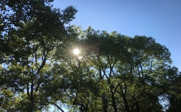 身边好人演讲稿优质5篇