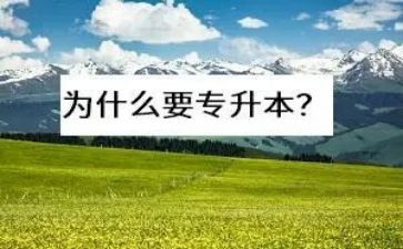 2023年专升本申请书5篇