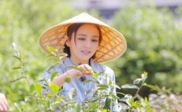 我想的生活作文6篇