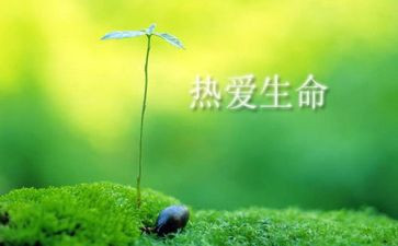 读生命的心得体会8篇