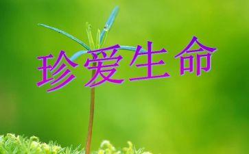 石缝间的生命读后感8篇